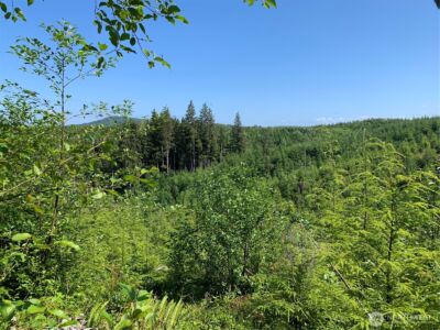 4 Tract Parpala Road , Naselle, WA 98638 - Photo 10