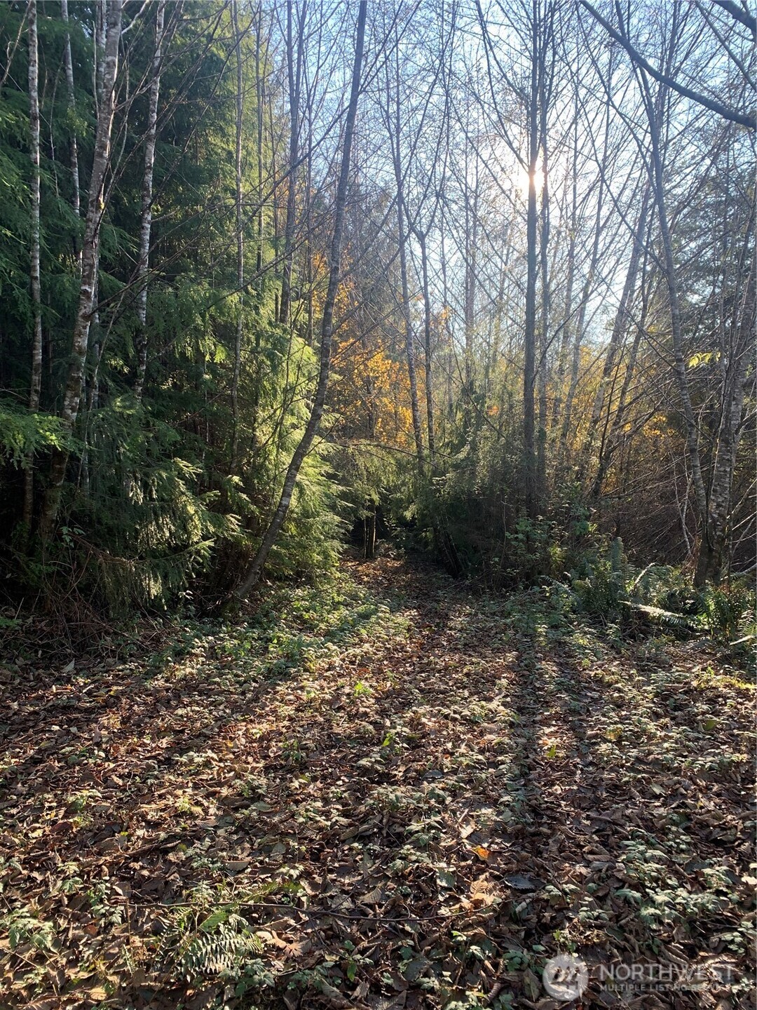 3 Tract Parpala Road , Naselle, WA 98638