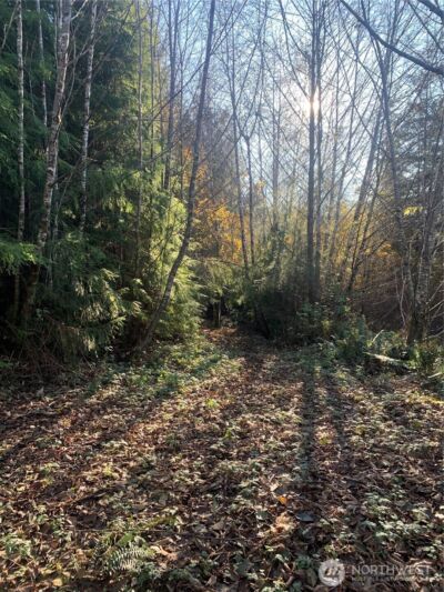 3 Tract Parpala Road , Naselle, WA 98638