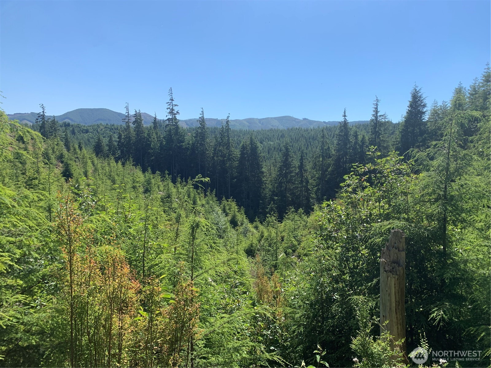 3 Tract Parpala Road , Naselle, WA 98638