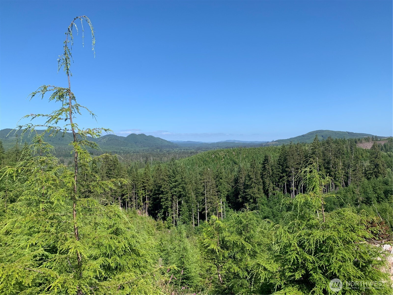 3 Tract Parpala Road , Naselle, WA 98638