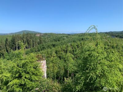 3 Tract Parpala Road , Naselle, WA 98638 - Photo 13