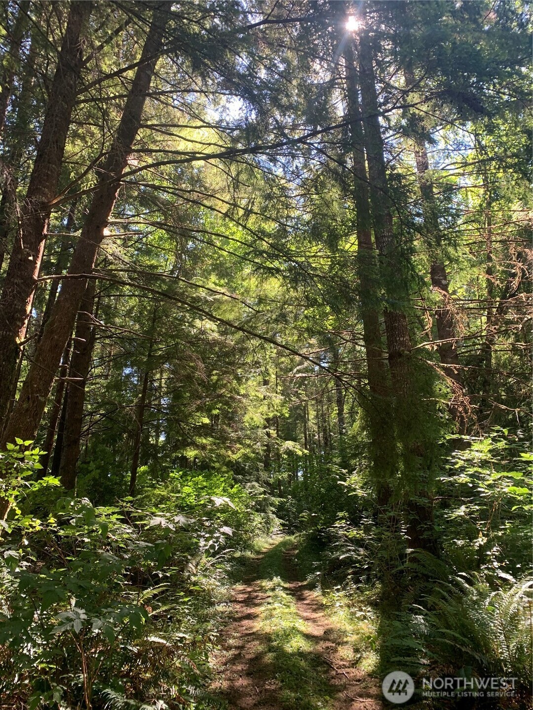 3 Tract Parpala Road , Naselle, WA 98638