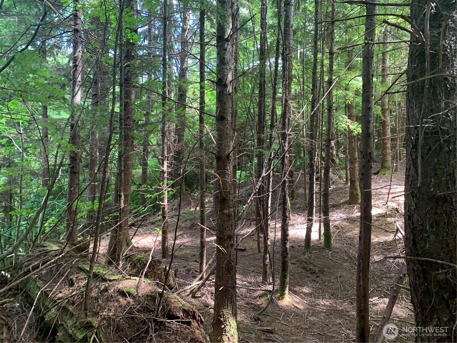 3 Tract Parpala Road , Naselle, WA 98638