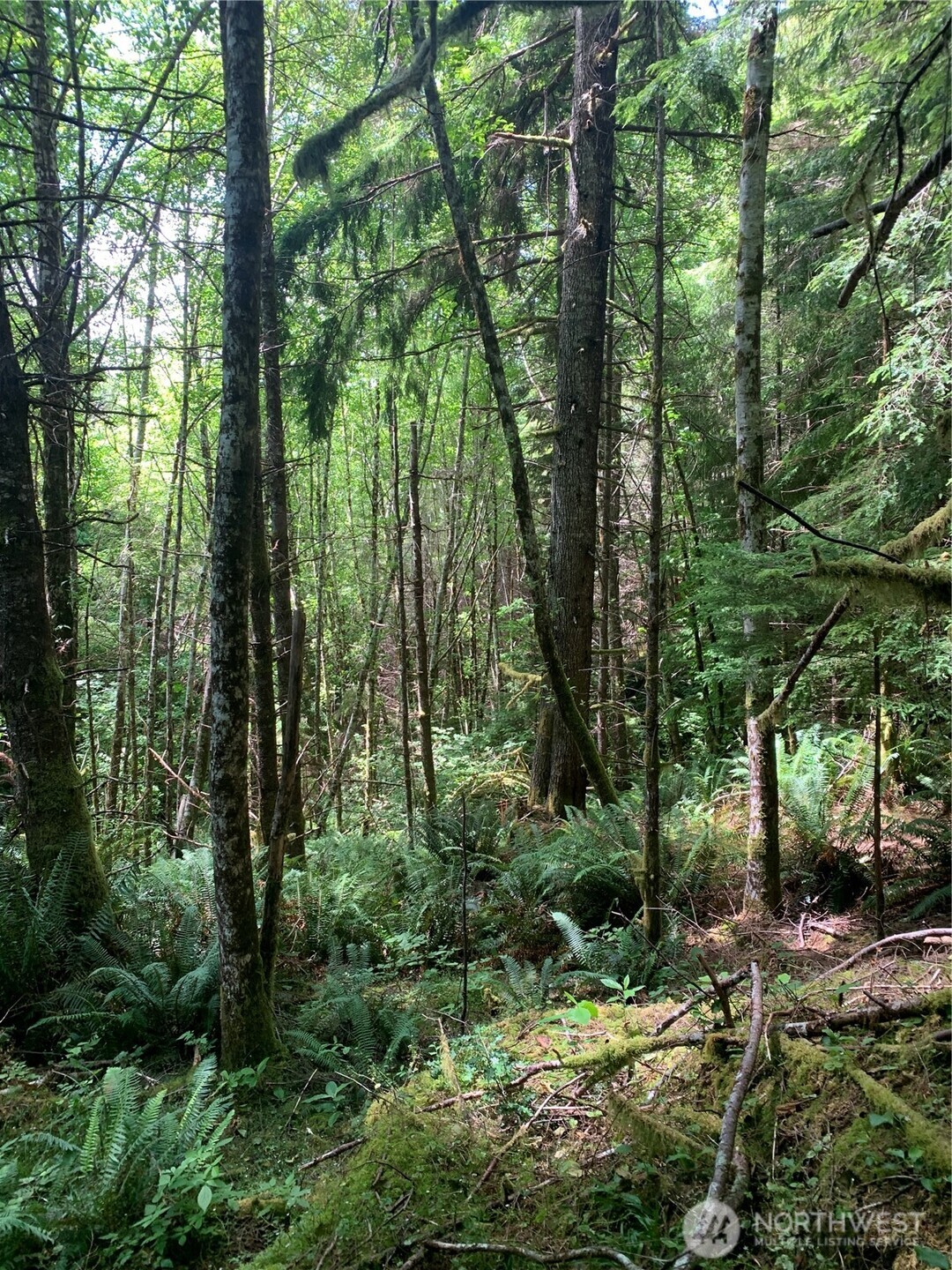 3 Tract Parpala Road , Naselle, WA 98638