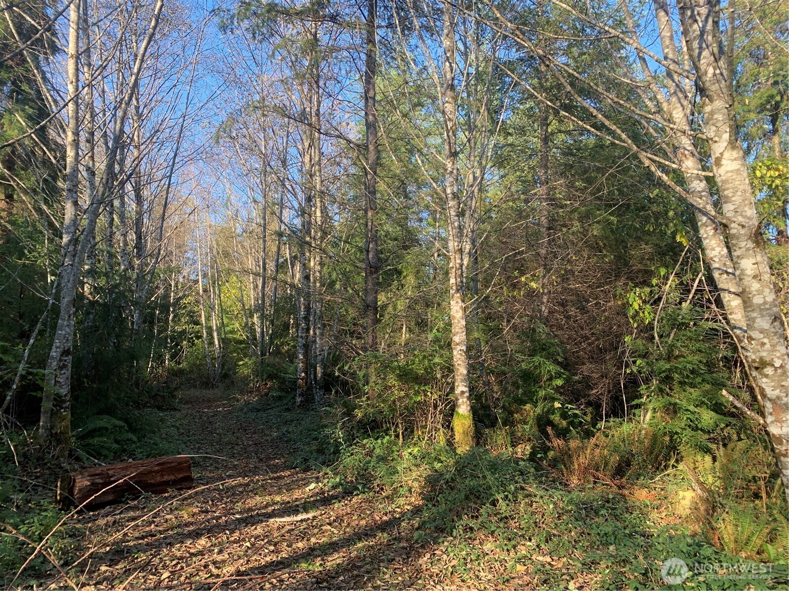 3 Tract Parpala Road , Naselle, WA 98638