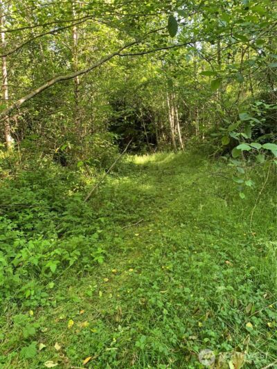 2 Tract Parpala Road , Naselle, WA 98638