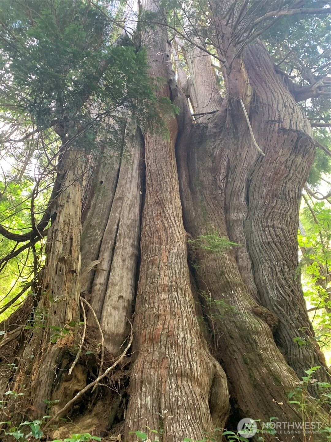 2 Tract Parpala Road , Naselle, WA 98638