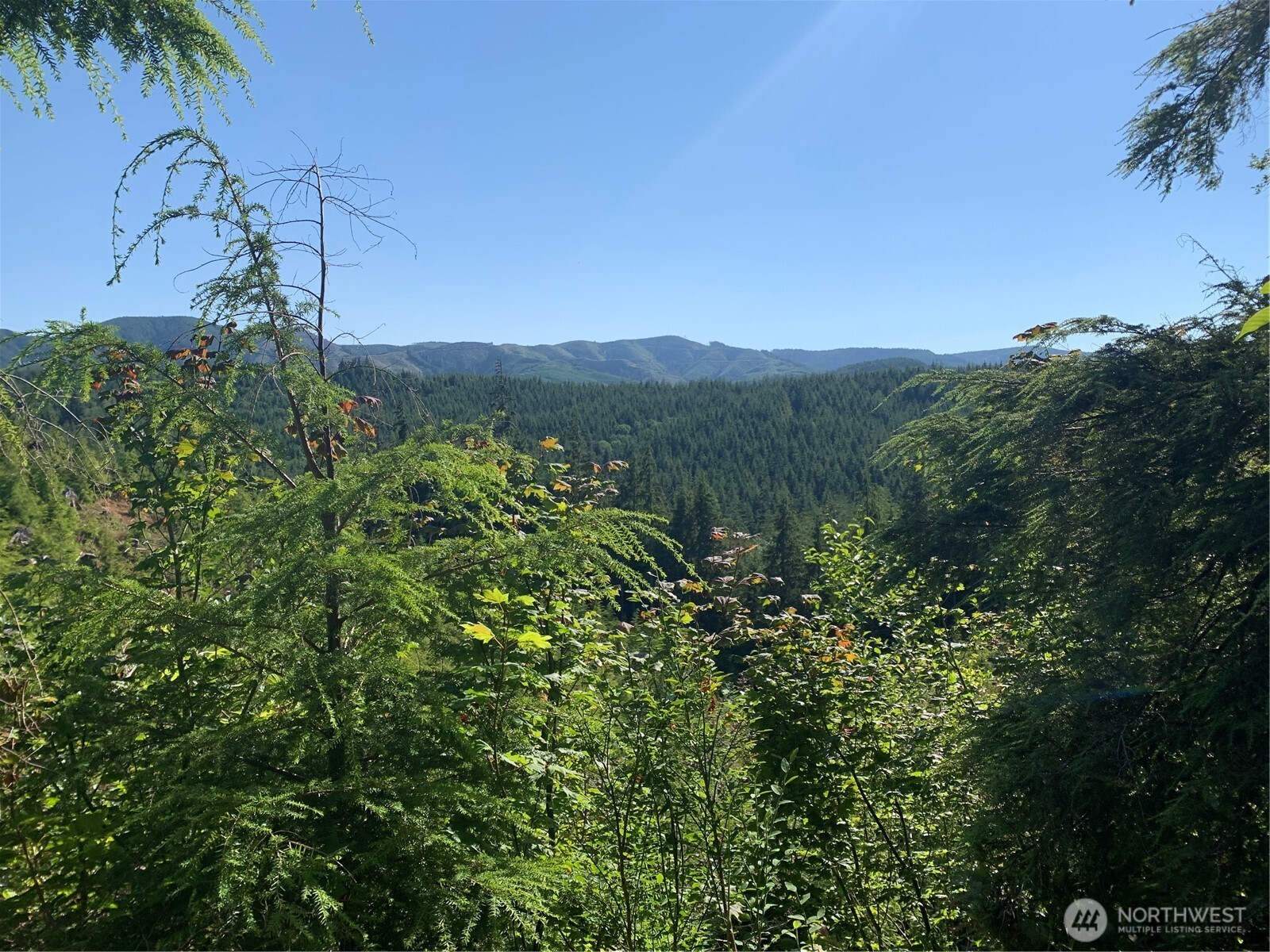 285 Parpala Road , Naselle, WA 98638