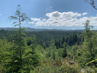 285 Parpala Road , Naselle, WA 98638 - Photo 12