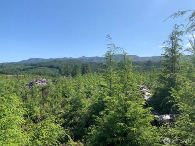 285 Parpala Road , Naselle, WA 98638 - Photo 13