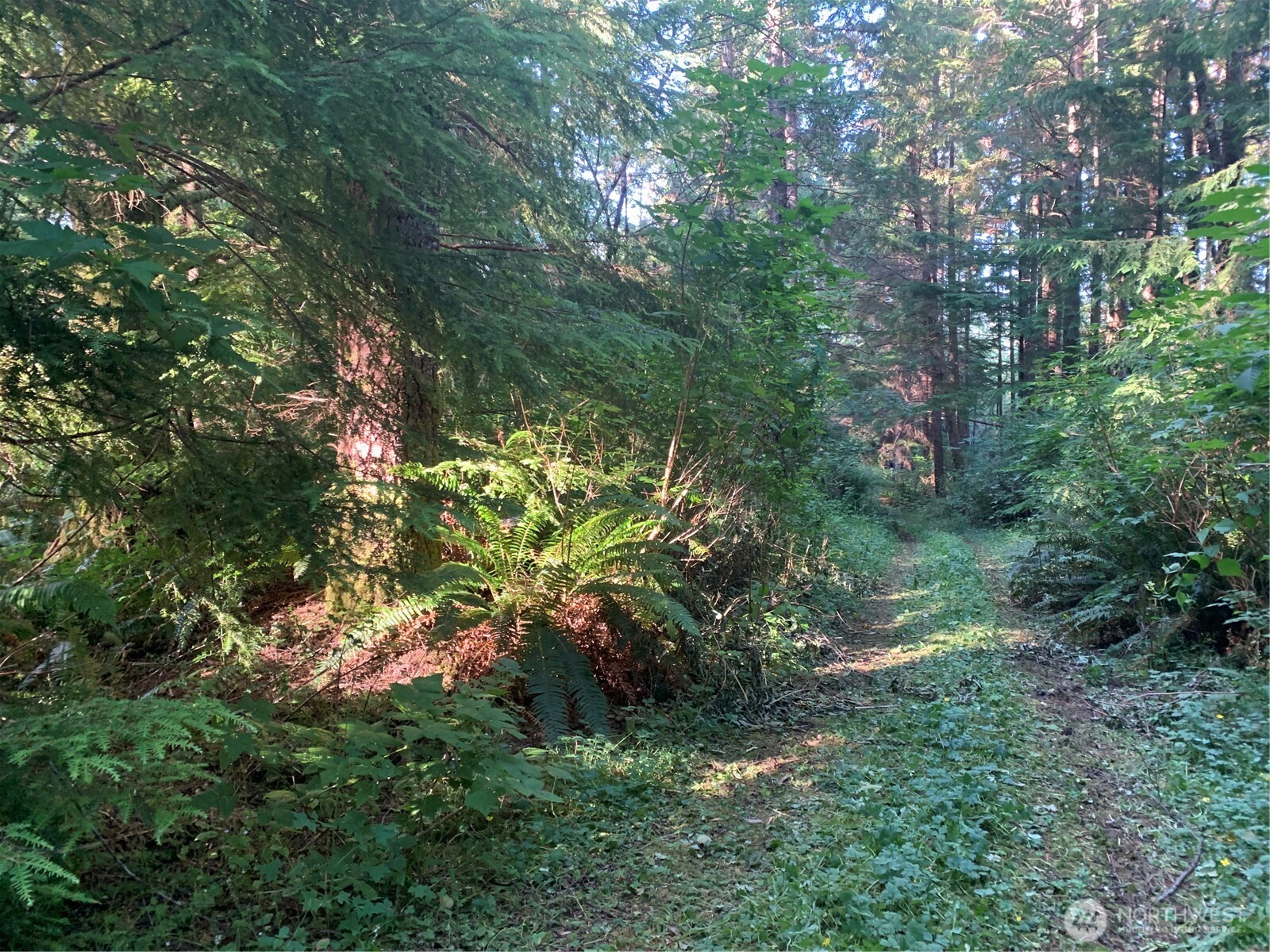 285 Parpala Road , Naselle, WA 98638