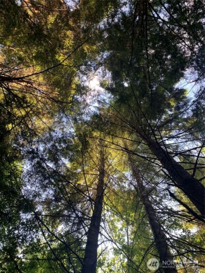 285 Parpala Road , Naselle, WA 98638 - Photo 16