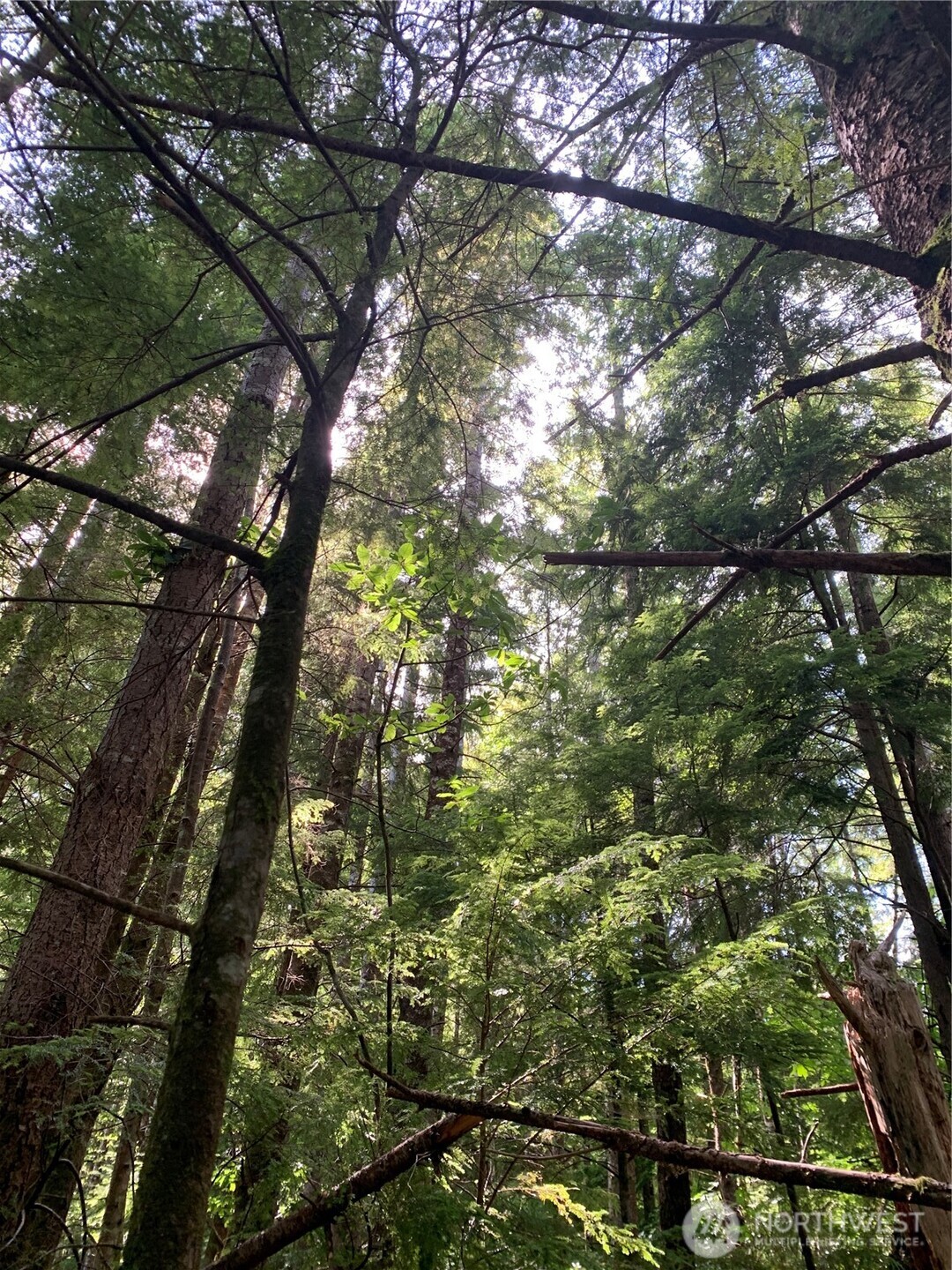 285 Parpala Road , Naselle, WA 98638