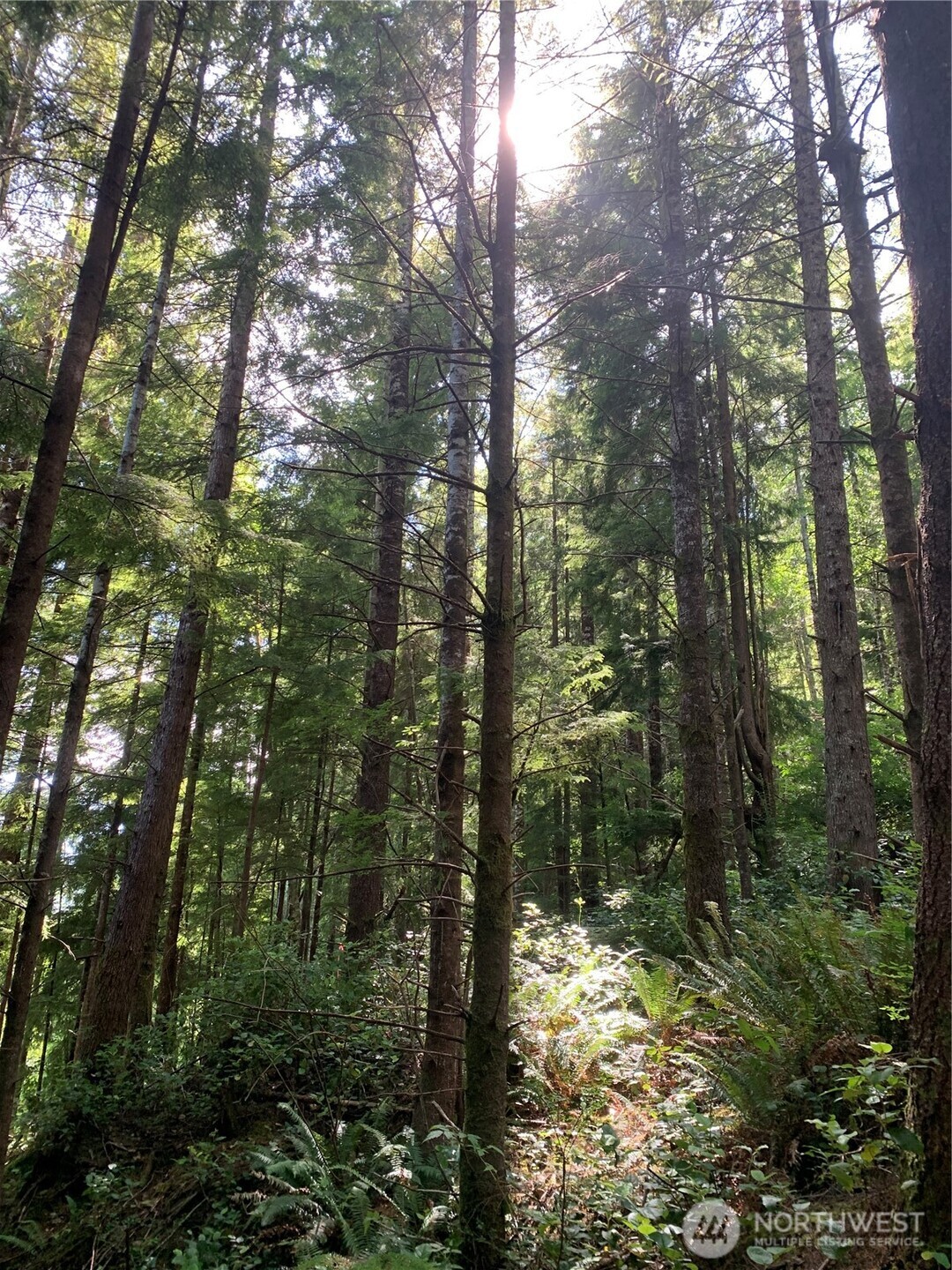 285 Parpala Road , Naselle, WA 98638