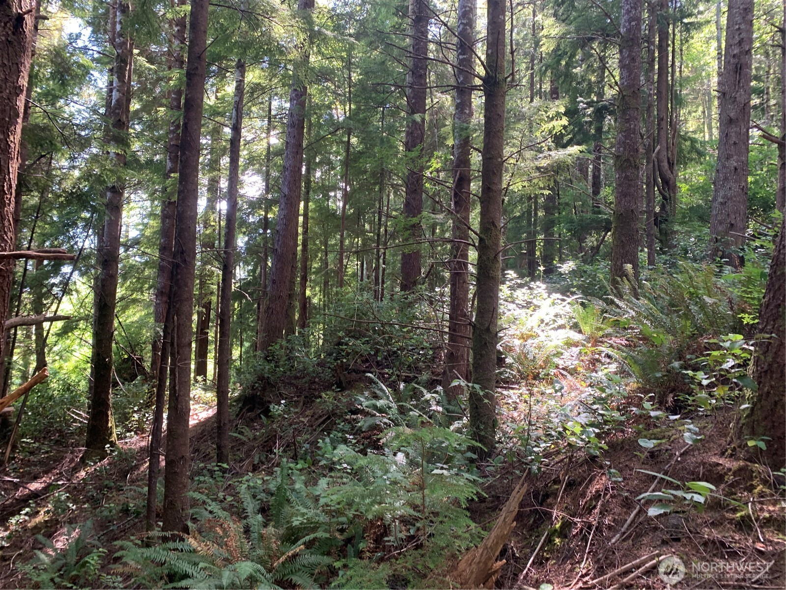 285 Parpala Road , Naselle, WA 98638