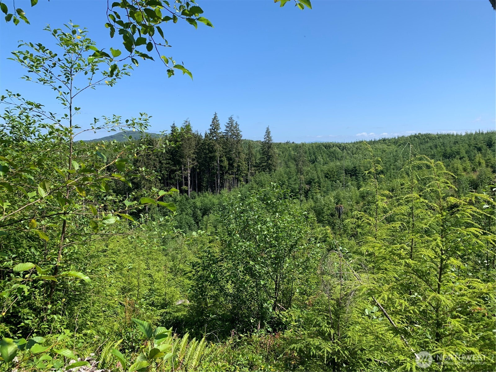 285 Parpala Road , Naselle, WA 98638