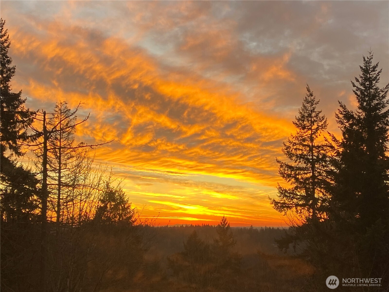 12509 206th Place SE, Issaquah, WA 98027