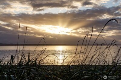 7683 Maxwelton Road , Clinton, WA 98236 - Photo 35