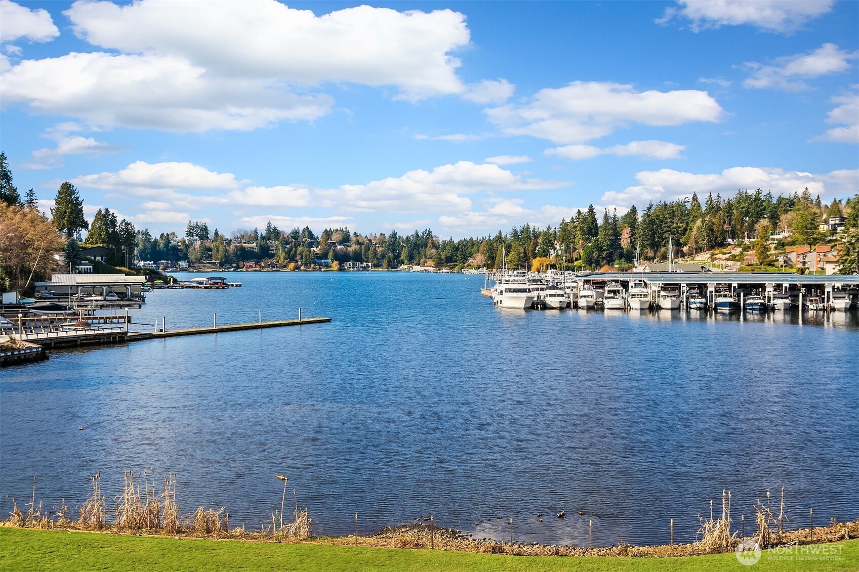 379 101st Avenue SE, Bellevue, WA 98004