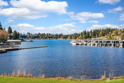 379 101st Avenue SE, Bellevue, WA 98004 - Photo 39