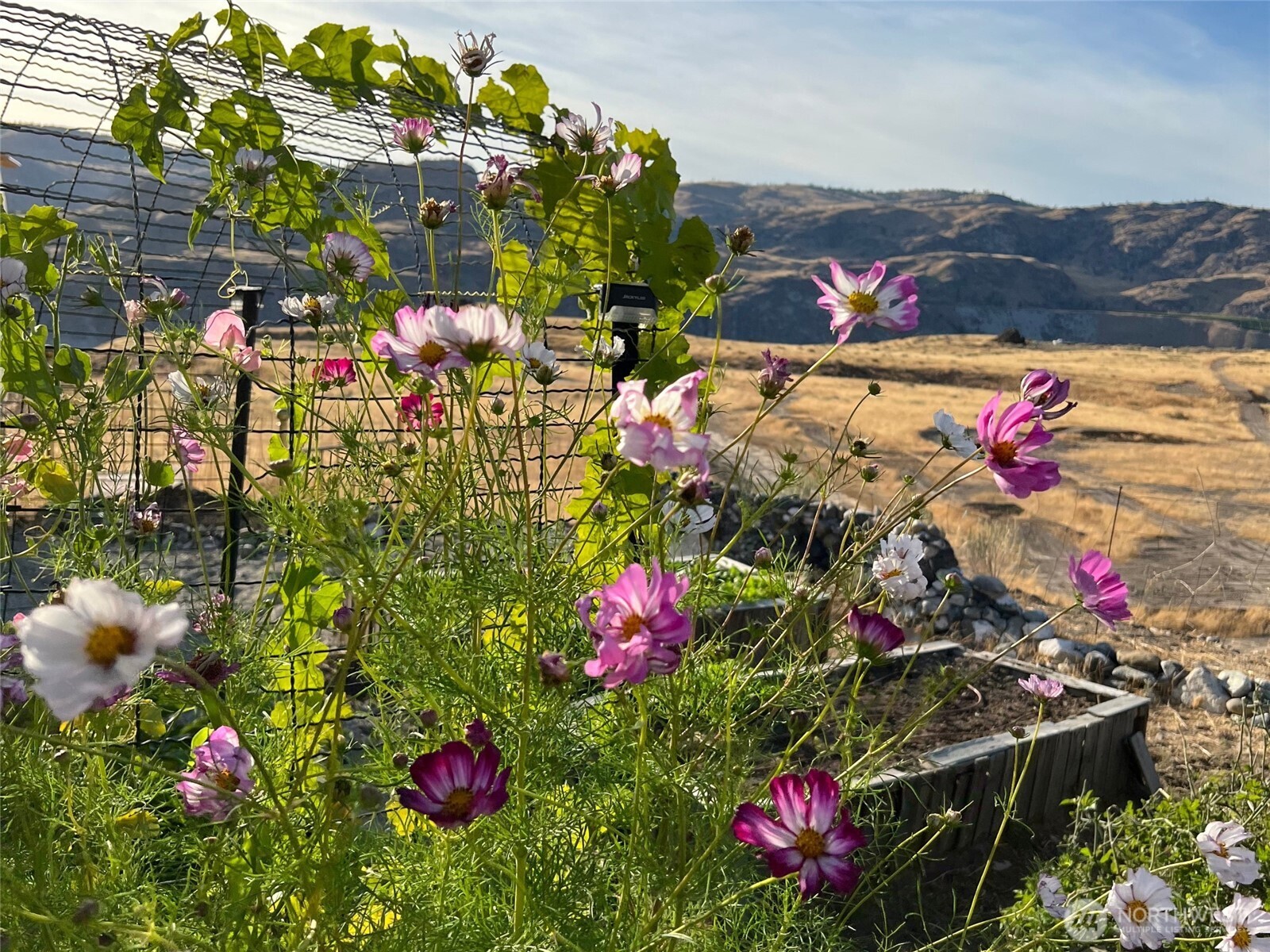 70 Hill Range Lane , Waterville, WA 98858