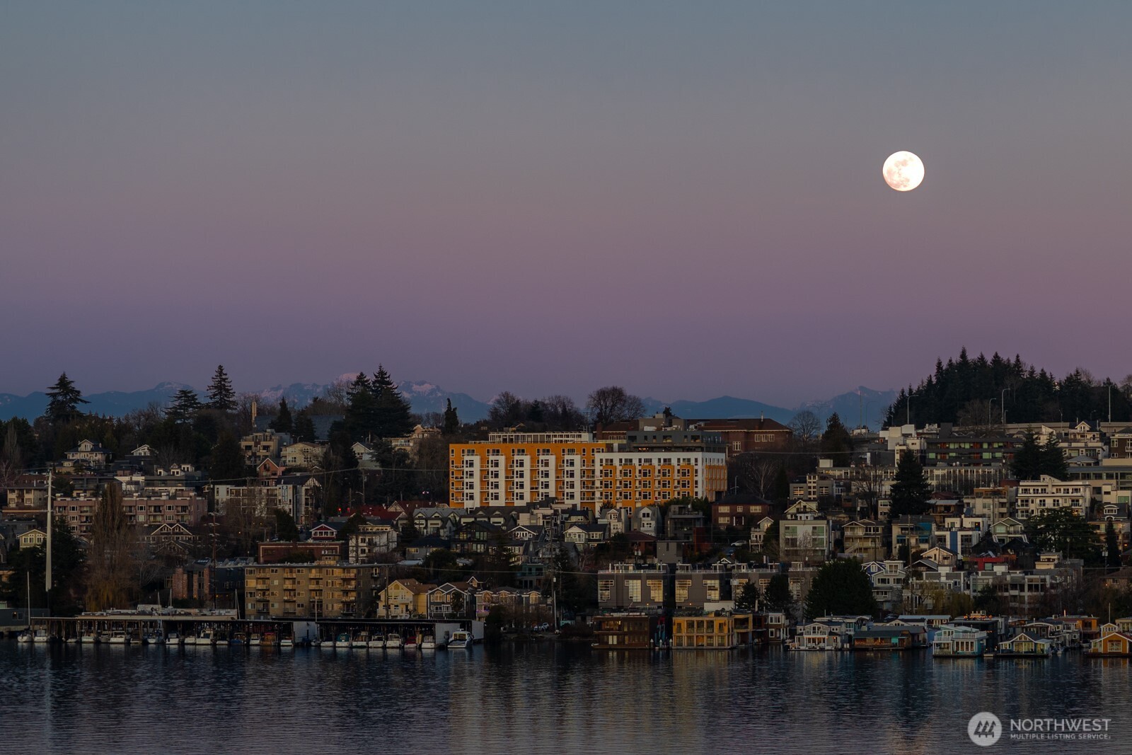 2420 8th Avenue N #201, Seattle, WA 98109