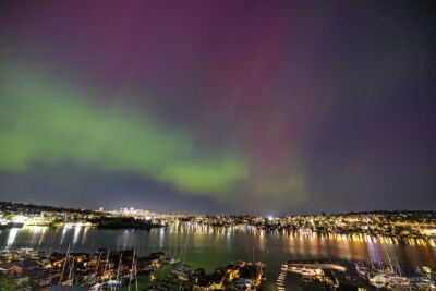 2420 8th Avenue N #201, Seattle, WA 98109 - Photo 29