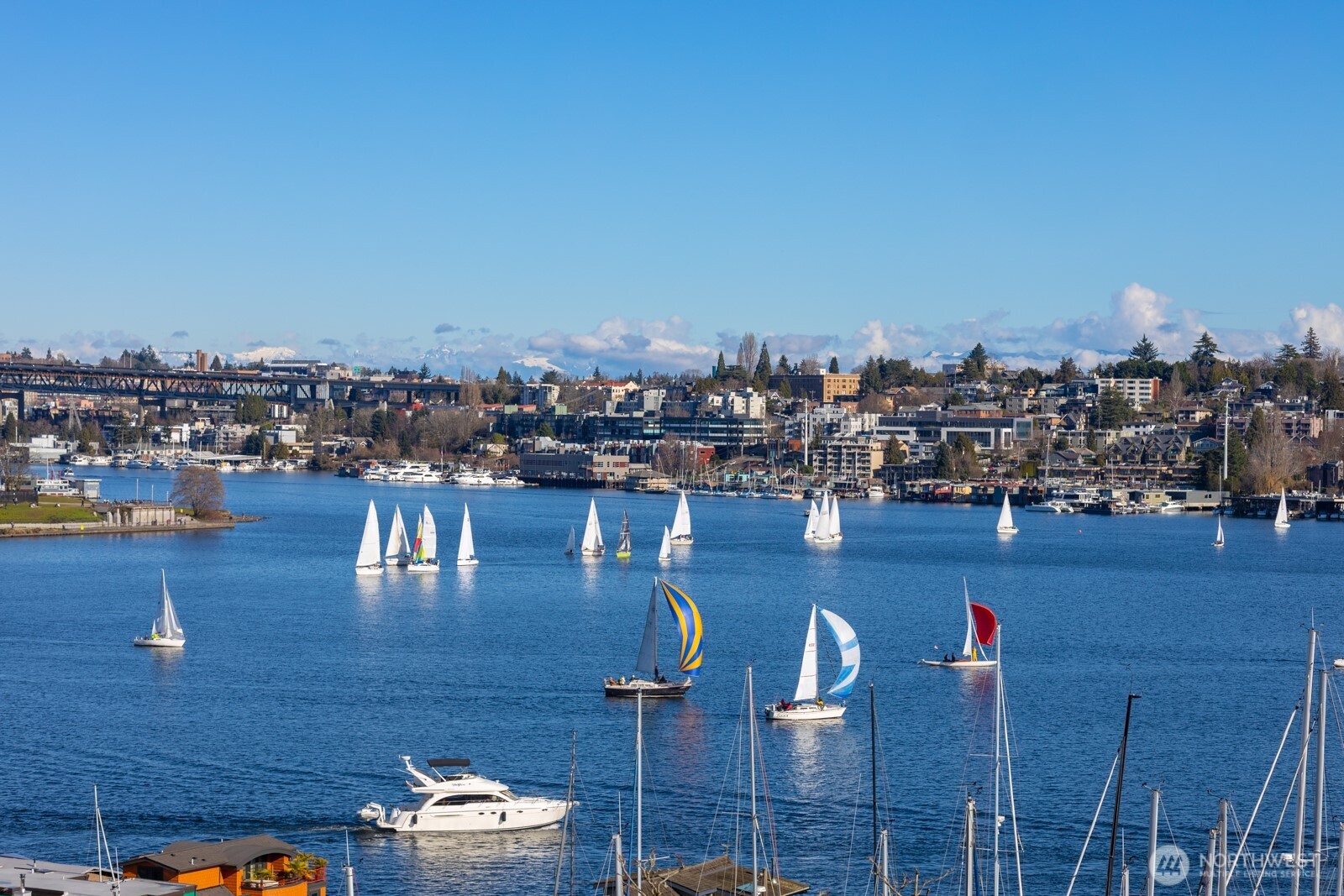 2420 8th Avenue N #201, Seattle, WA 98109