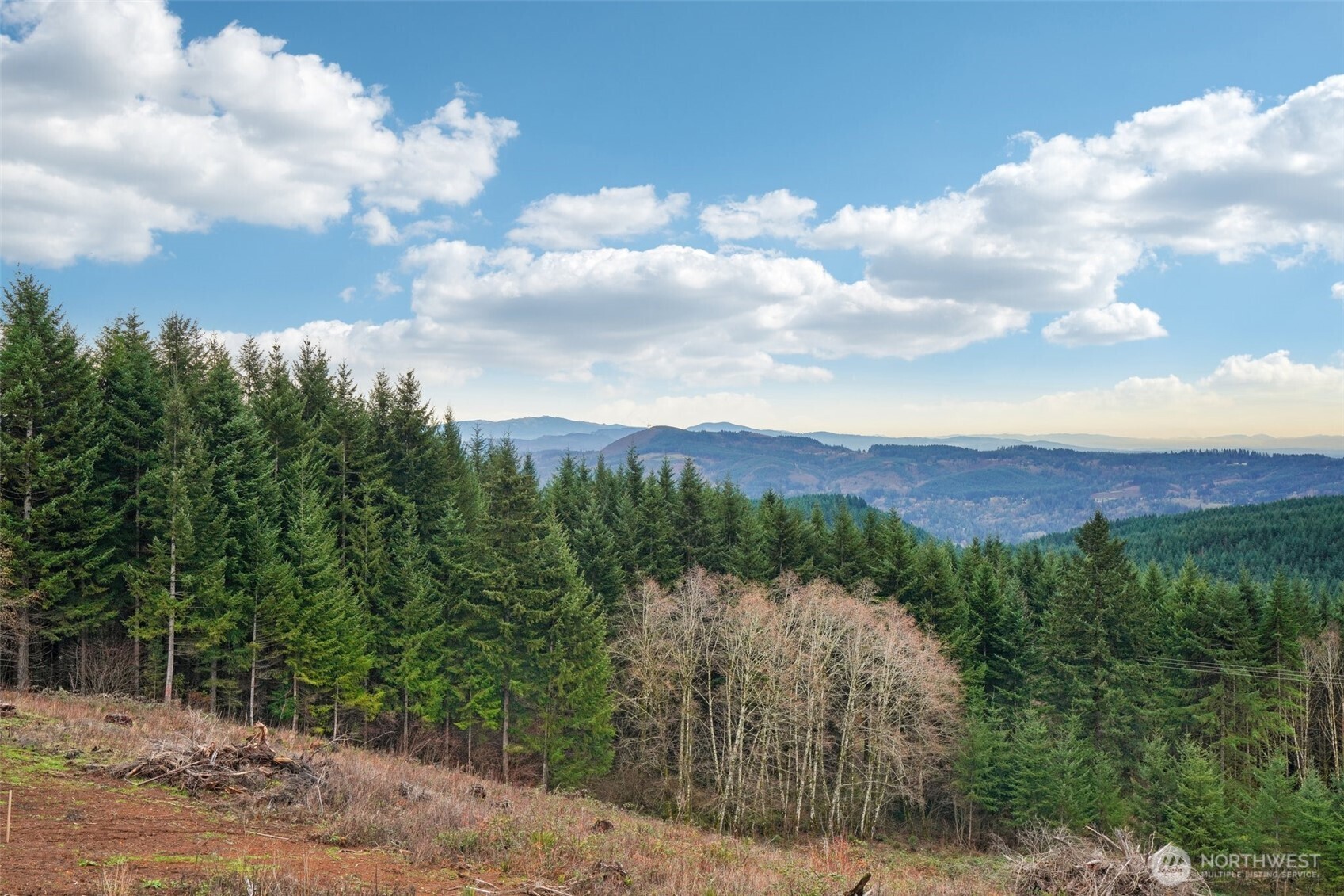 235 High Bank Lane , Woodland, WA 98674