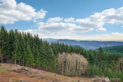 235 High Bank Lane , Woodland, WA 98674 - Photo 31