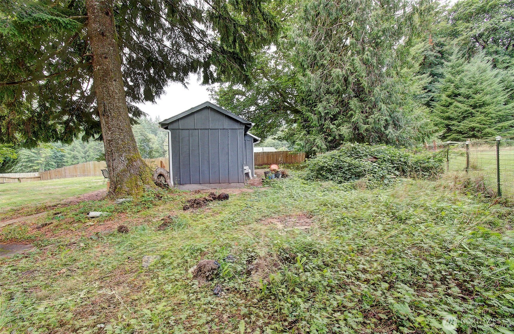 16790 Lewis River Road , Cougar, WA 98616
