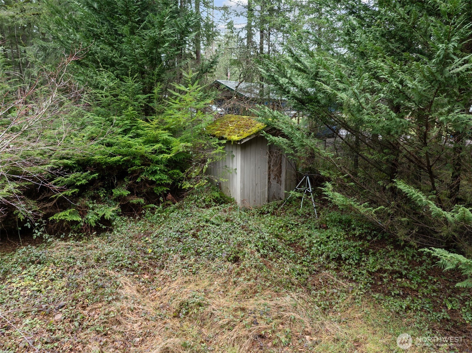 29722 SE Kent Kangley Road , Ravensdale, WA 98051
