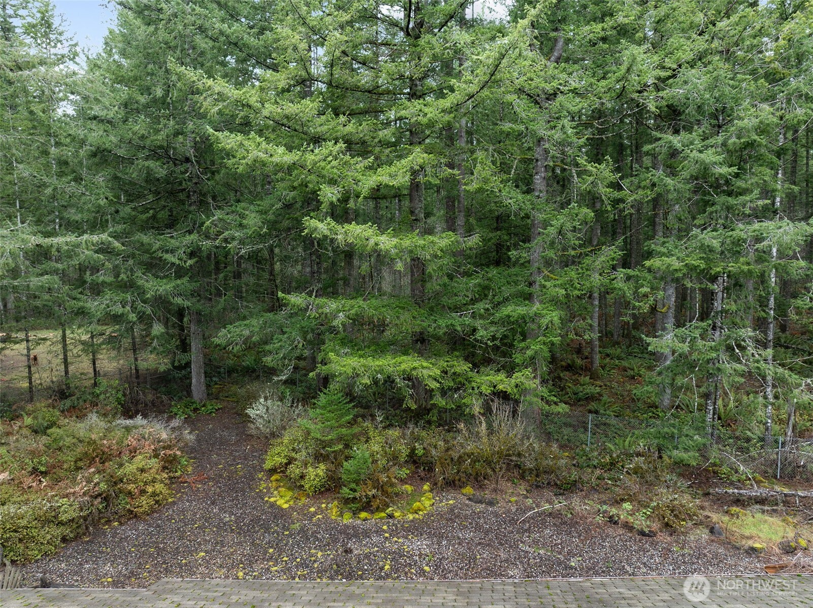 29722 SE Kent Kangley Road , Ravensdale, WA 98051