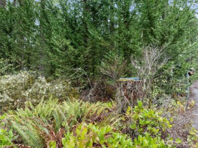 29722 SE Kent Kangley Road , Ravensdale, WA 98051 - Photo 27