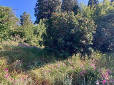 322 W 4th Street , Cle Elum, WA 98922 - Photo 4