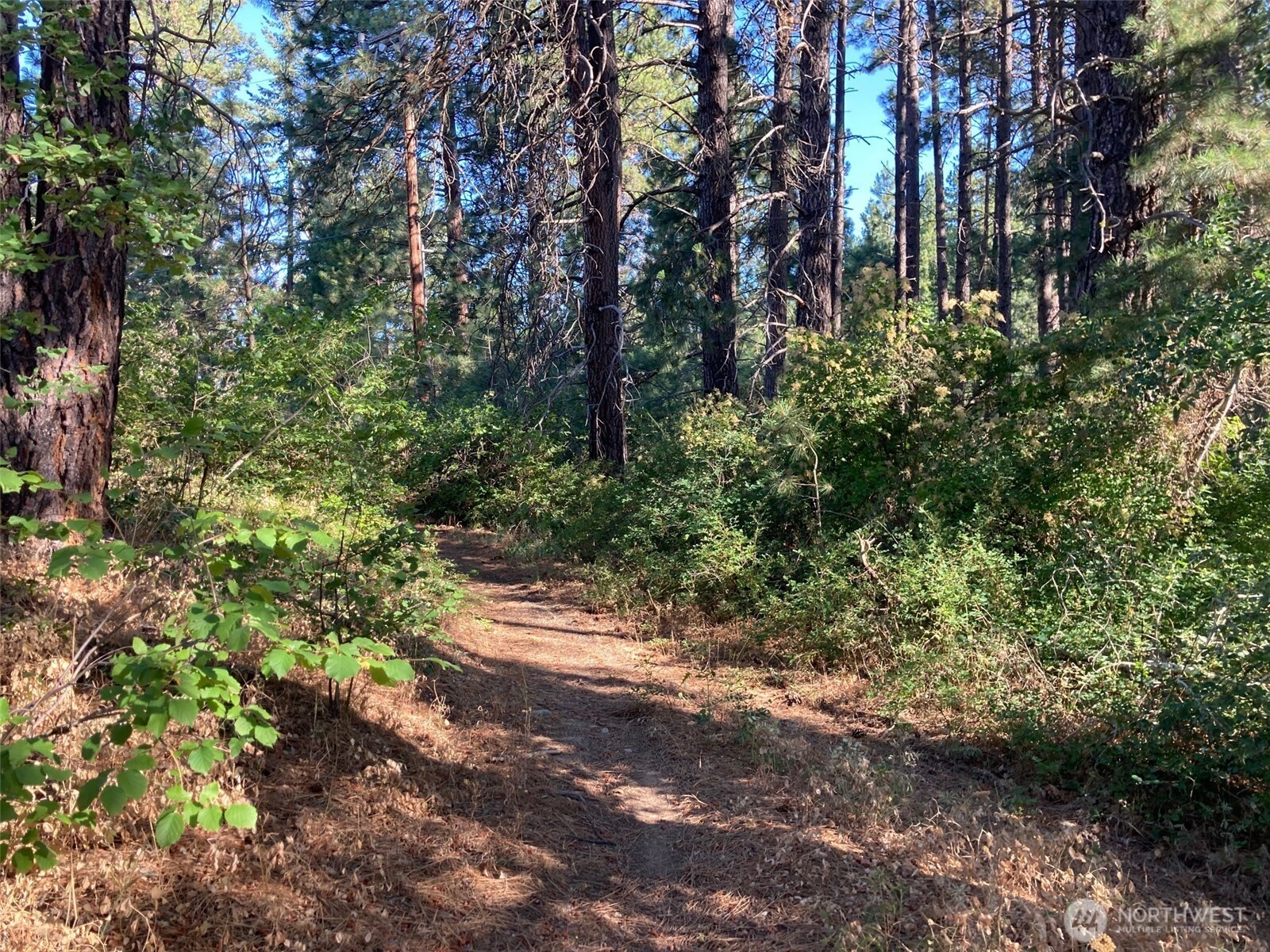 322 W 4th Street , Cle Elum, WA 98922