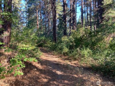 322 W 4th Street , Cle Elum, WA 98922 - Photo 5