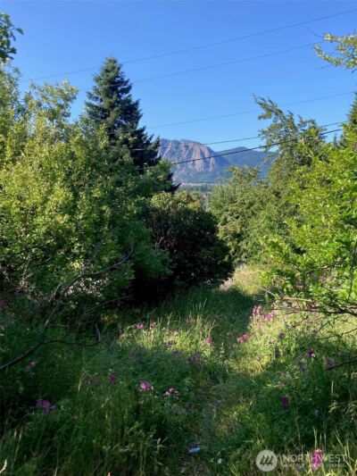 322 W 4th Street , Cle Elum, WA 98922 - Photo 6