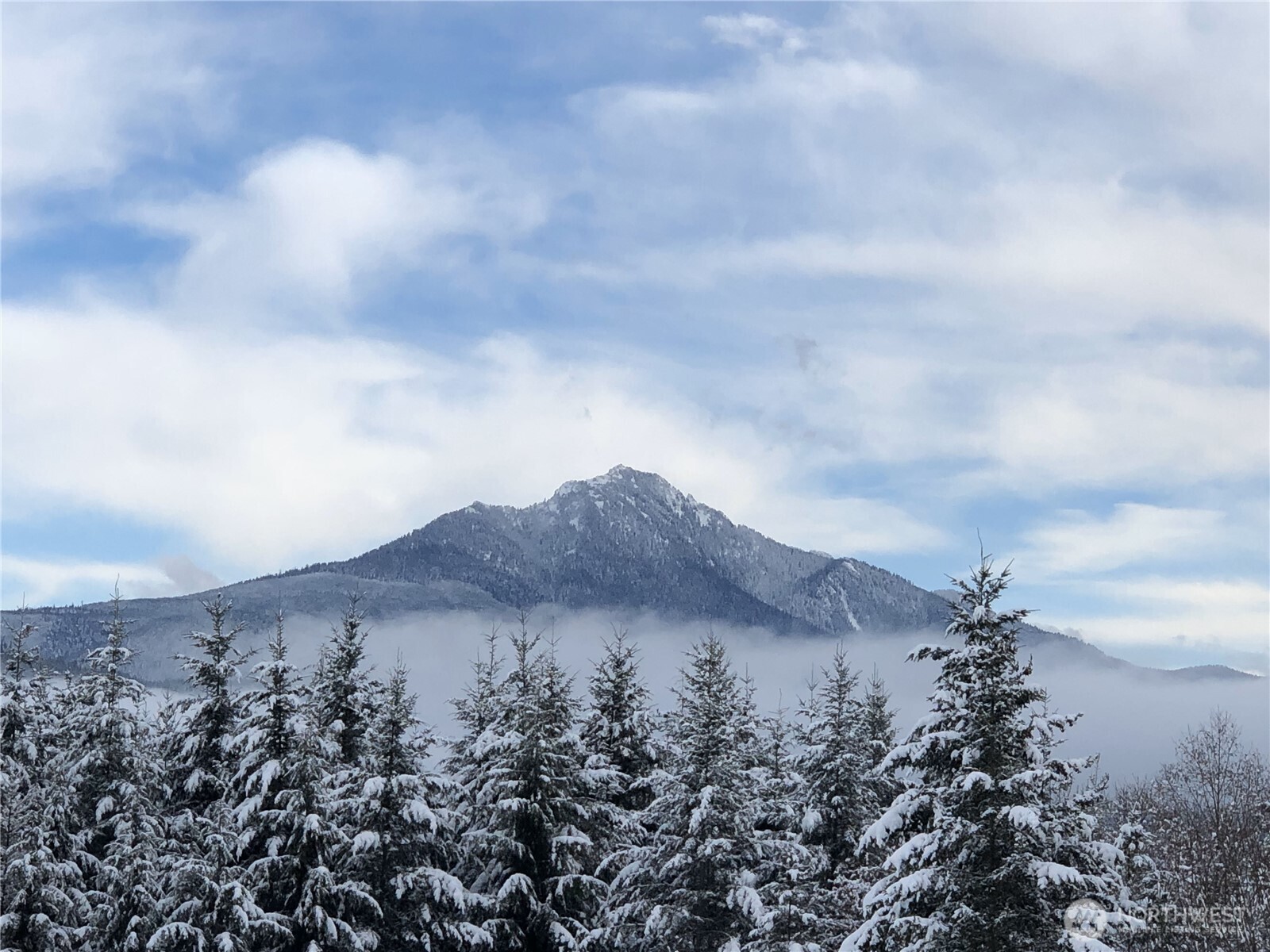 4223 203rd Avenue NE, Snohomish, WA 98290