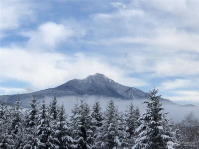 4223 203rd Avenue NE, Snohomish, WA 98290 - Photo 29