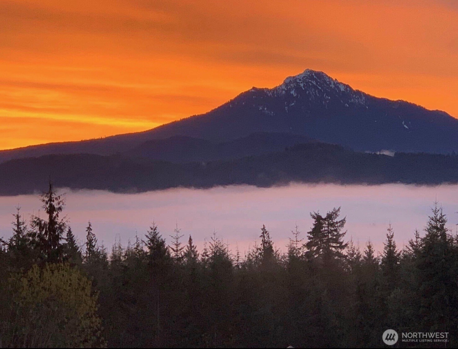 4223 203rd Avenue NE, Snohomish, WA 98290