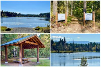 36003 36th Avenue E, Eatonville, WA 98328 - Photo 40