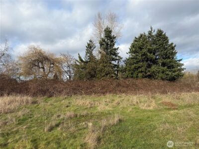 915 90th St E , Tacoma, WA 98445 - Photo 2