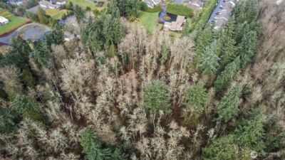 13727 96th Avenue E, Puyallup, WA 98373 - Photo 38