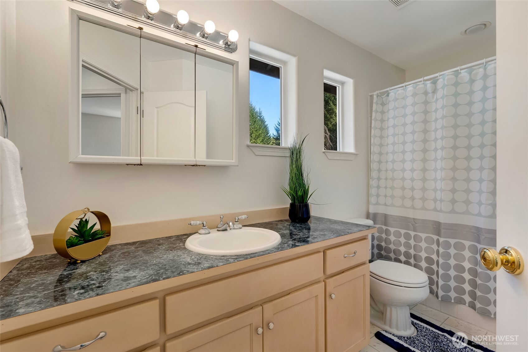 17616 72nd Street NE, Snohomish, WA 98290