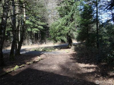 40747 NE Miller Road , Washougal, WA 98671 - Photo 29