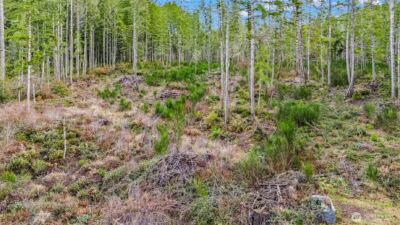 12815 154th Avenue NW, Gig Harbor, WA 98329 - Photo 11