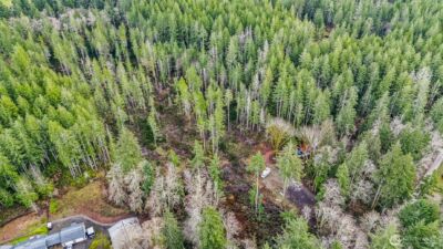 12815 154th Avenue NW, Gig Harbor, WA 98329 - Photo 12