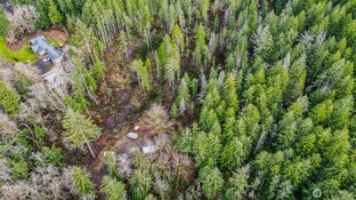 12815 154th Avenue NW, Gig Harbor, WA 98329 - Photo 13